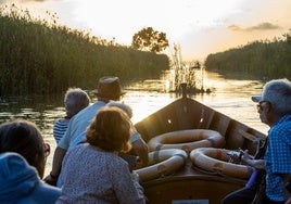 Paseo en barca por la Albufera.