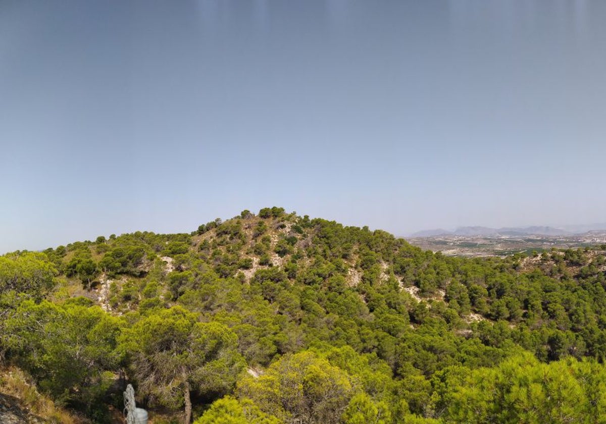 Vista panorámica de la Sierra Escalona.