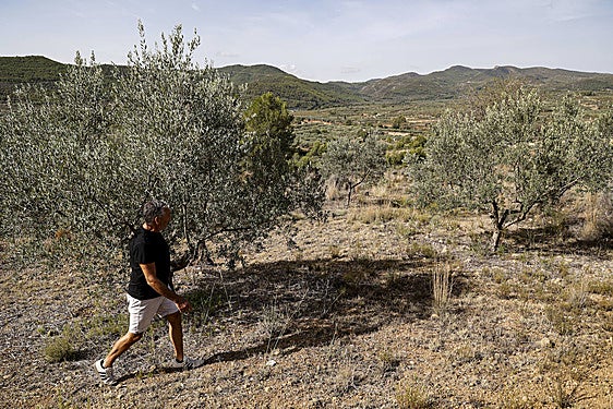 Mazón anuncia una «ayuda exprés» de 17 millones para 30.000 agricultores y ganaderos afectados por la sequía