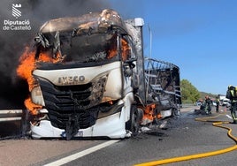 Estado en el que ha quedado el camión tras el incendio.