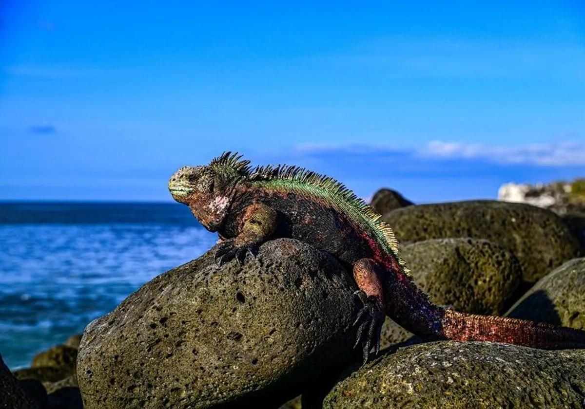 Expertos internacionales en las Galápagos escogen Valencia para abordar la sostenibilidad y el turismo responsable 