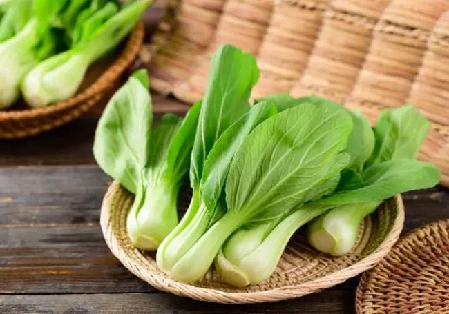 Pak choi en una imagen de archivo.