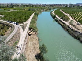 Limpieza en la Ribera Baixa.