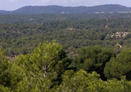 Vista de un paraje de la Sierra Escalona.