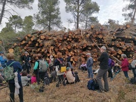 Miembros de Acció Ecologista-Agró en una de las visitas a los lugares en los que se ha hecho la tala.