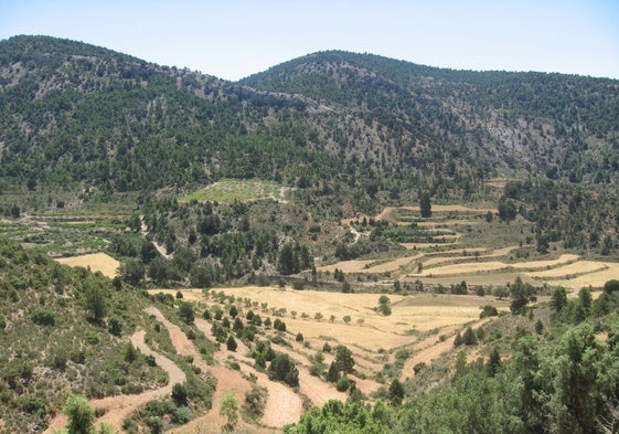 Vista general de la Ruta Verde del Parque Natural de La Puebla de San Miguel.