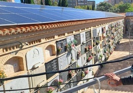 El concejal de Cementerios, Mejora Climática y Transición Energética, Carlos Mundina, en el camposanto de Campanar.