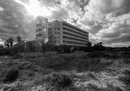 El Algarrobico en la Albufera