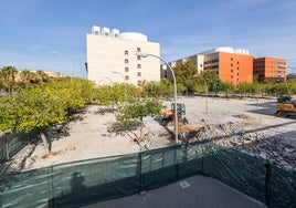 Vista general del campus de Tarongers, actualmente en obras por el nuevo ajardinamiento.