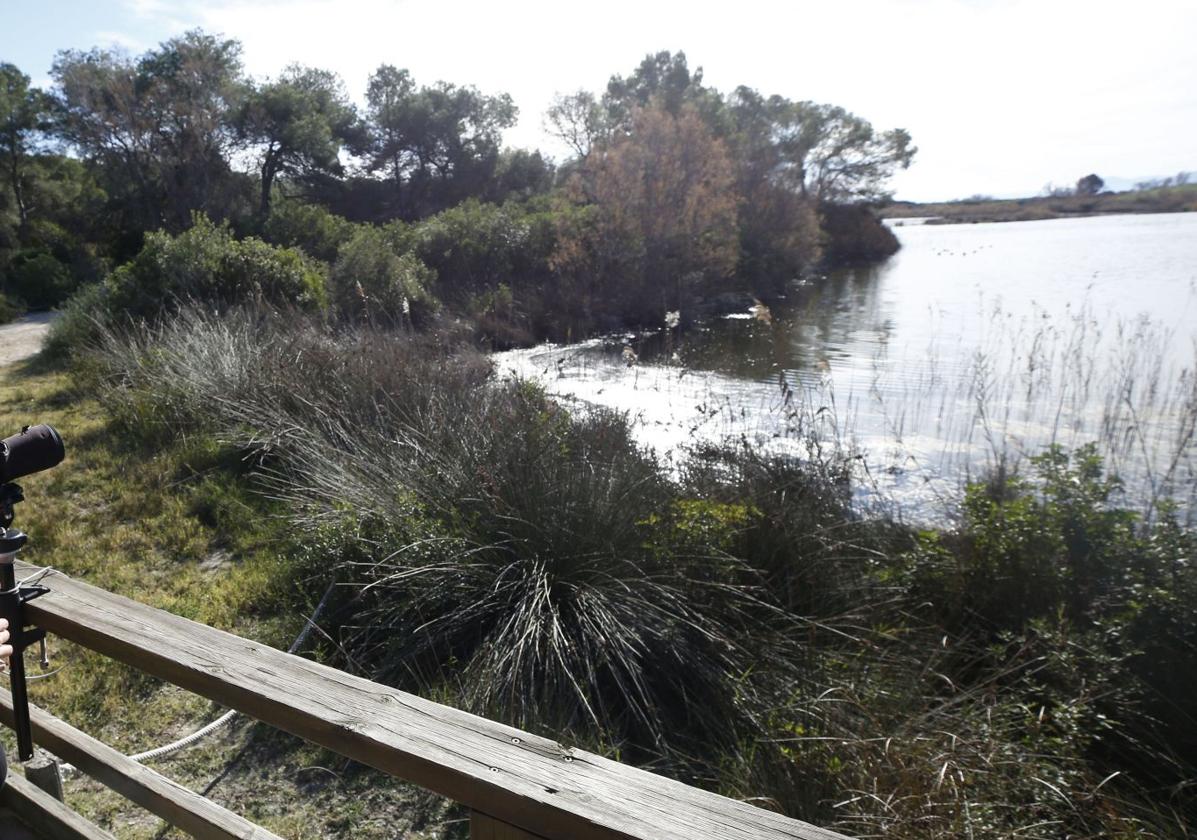 Centro de interpretación del Racó de l'Olla.