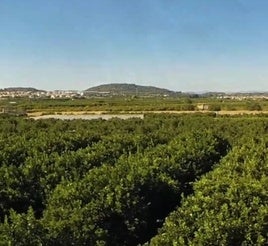 Vista del término de Vallés.