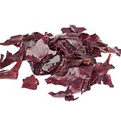 Alga dulse en una imagen de archivo.