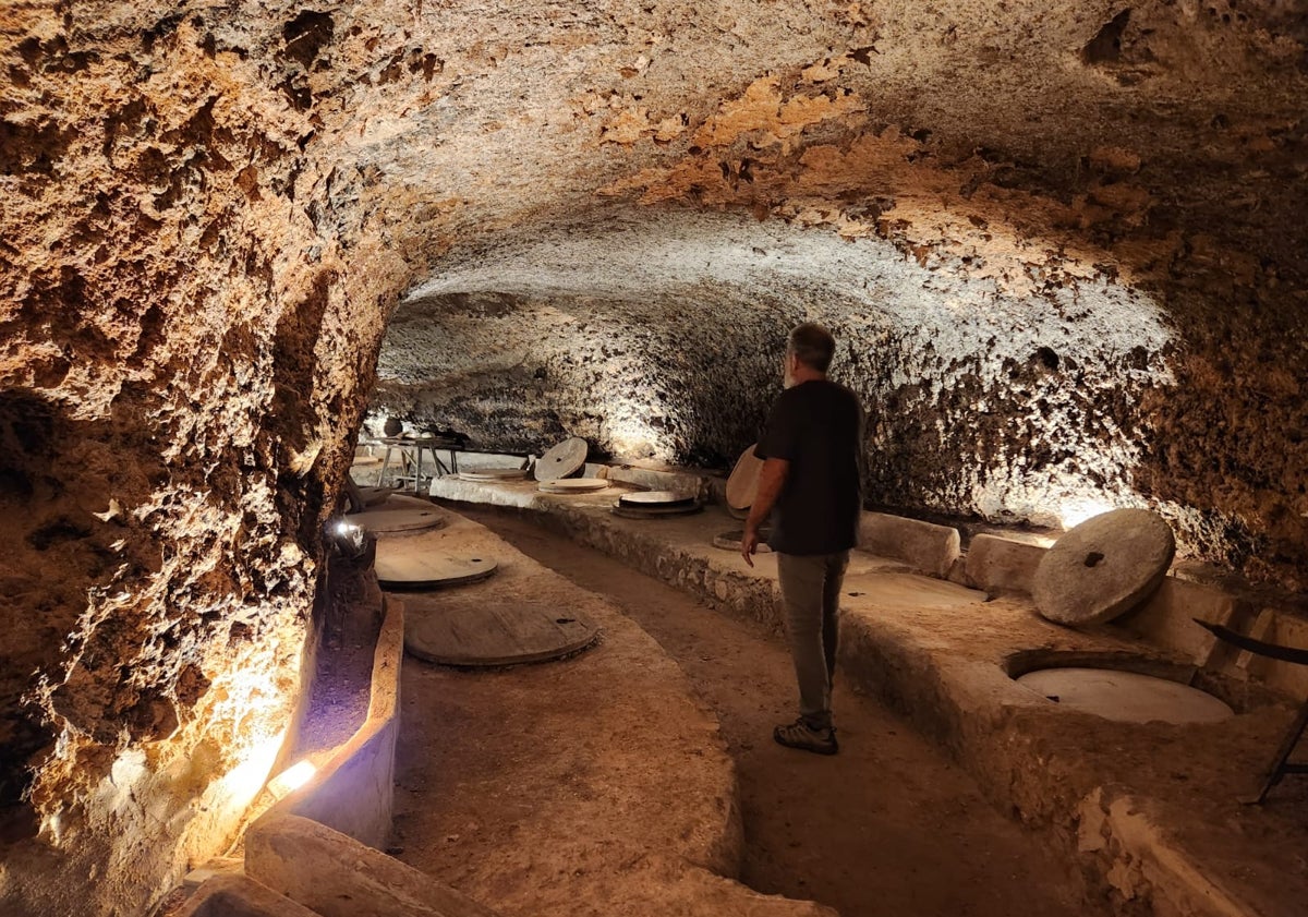 Imagen principal - El Celler del Roure, magia en las cepas y bajo la tierra