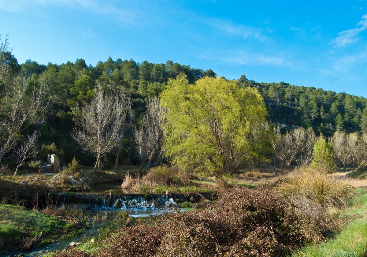 Fantástica vista de un salto del río Magro.