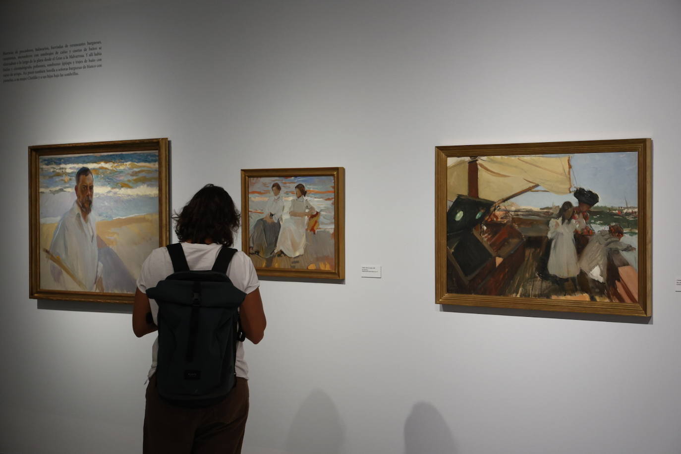 Fotos de la exposición &#039;En el mar de Sorolla con Manuel Vicent&#039;