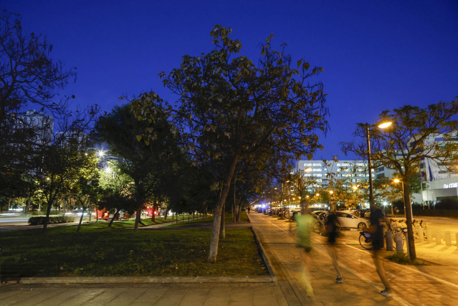 Falta de alumbrado en el entorno del hospital La Fe de Valencia