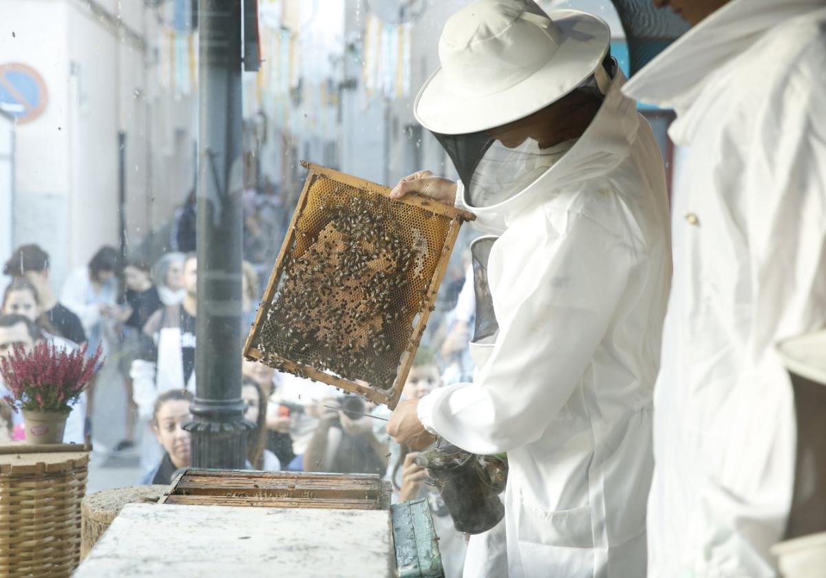 El Primer Corte de la Miel, el lado más dulce de Ayora