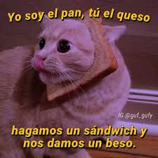 El sadwich michi