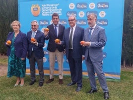 Presentación del inicio de la campaña del Kaki Persimon en l'Alcúdia.