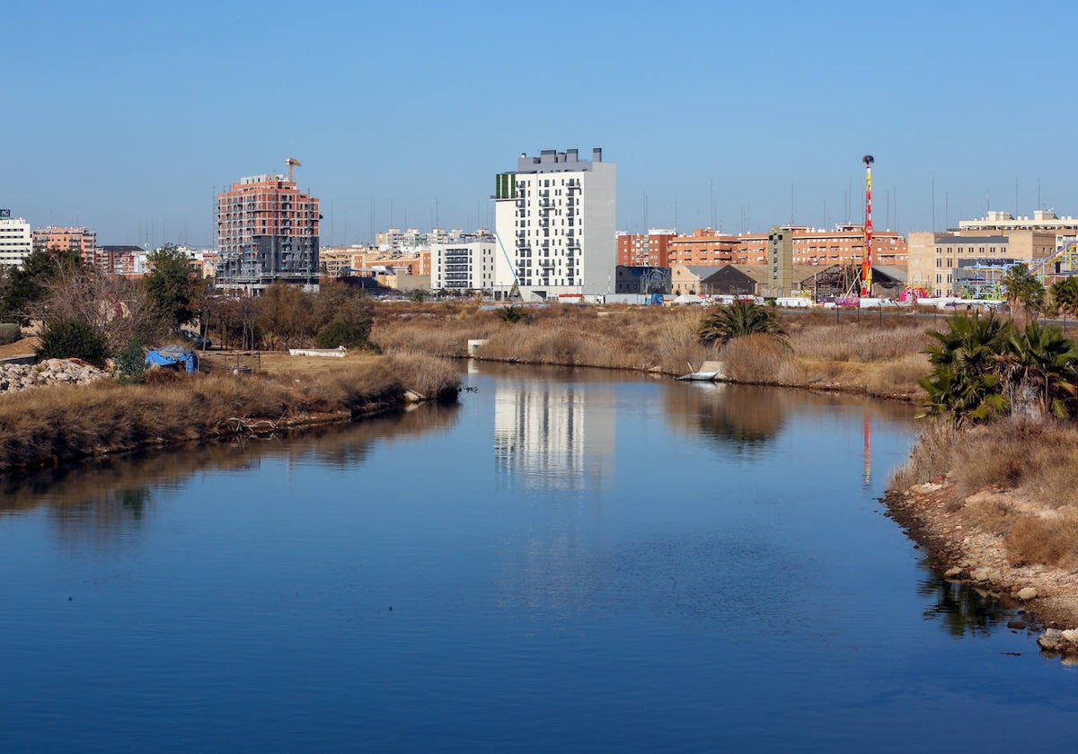 Terrenos del Parque de Desembocadura del río Turia.