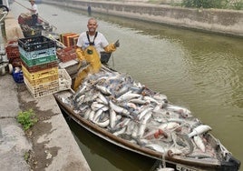 El pescador Manuel Soler.