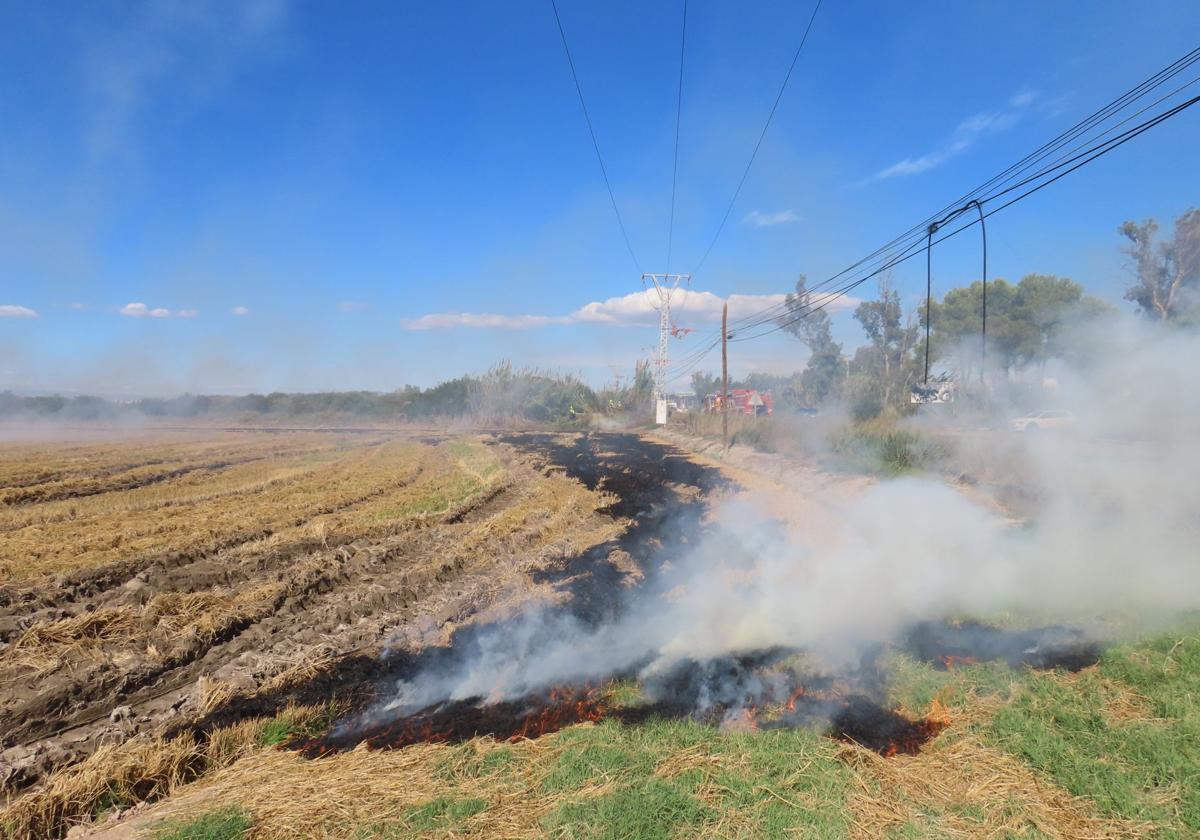 Los bomberos intervienen una quema de paja del arroz descontrolada en un campo junto a la Albufera