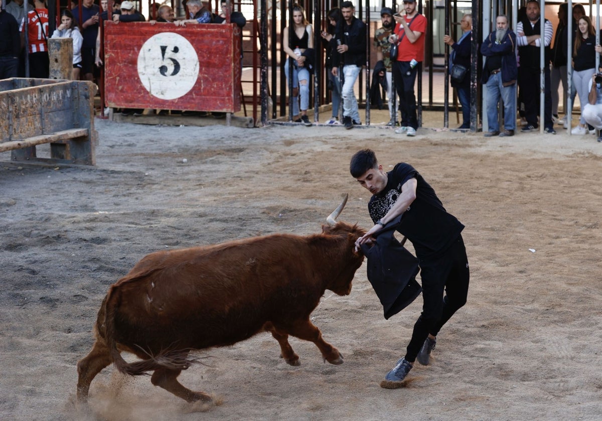 Espectáculo taurino en un municipio valenciano.