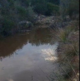 Estado del agua del río tras las lluvias pasadas.