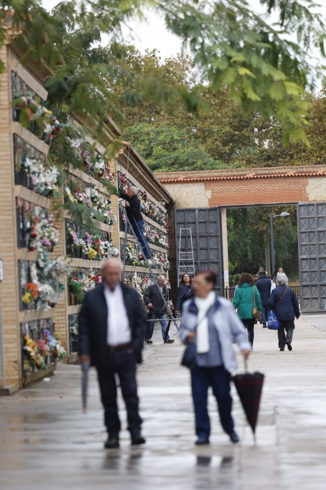 El Cementerio de Valencia se prepara para el día de Todos los Santos