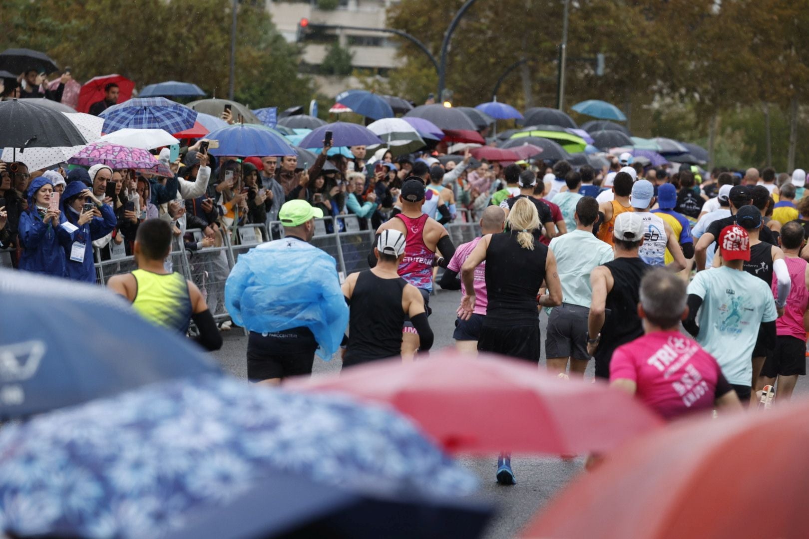 Las mejores imágenes del Medio Maratón de Valencia 2024