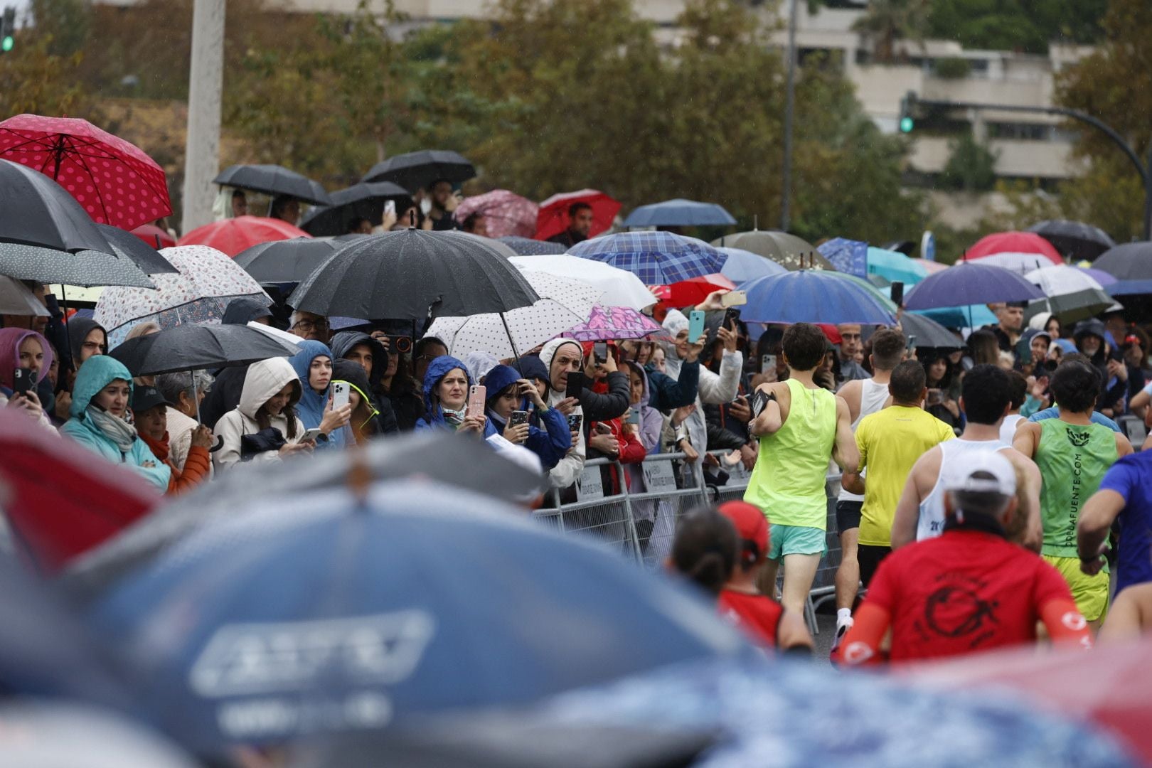 Las mejores imágenes del Medio Maratón de Valencia 2024