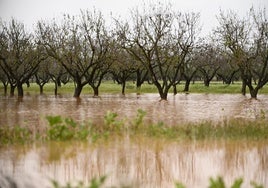 Campos inundados en Cabanes.