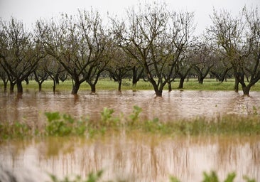 Emergencias alerta de lluvias de 150 litros y pide a los ayuntamientos que extremen la prudencia