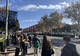 Decenas de estudiantes esperan al autobús al salir de clase.