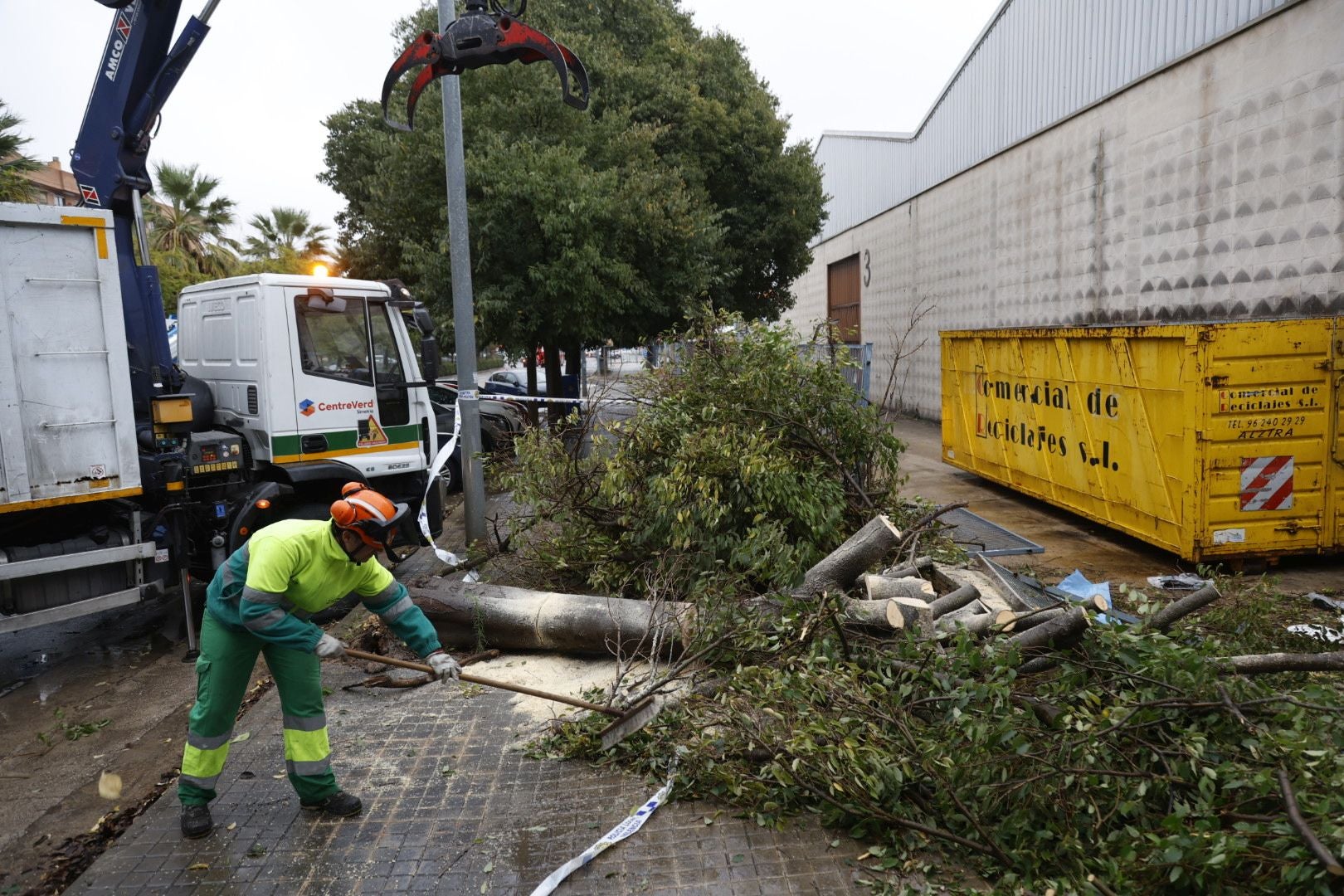 Un árbol caído a causa de las lluvias.