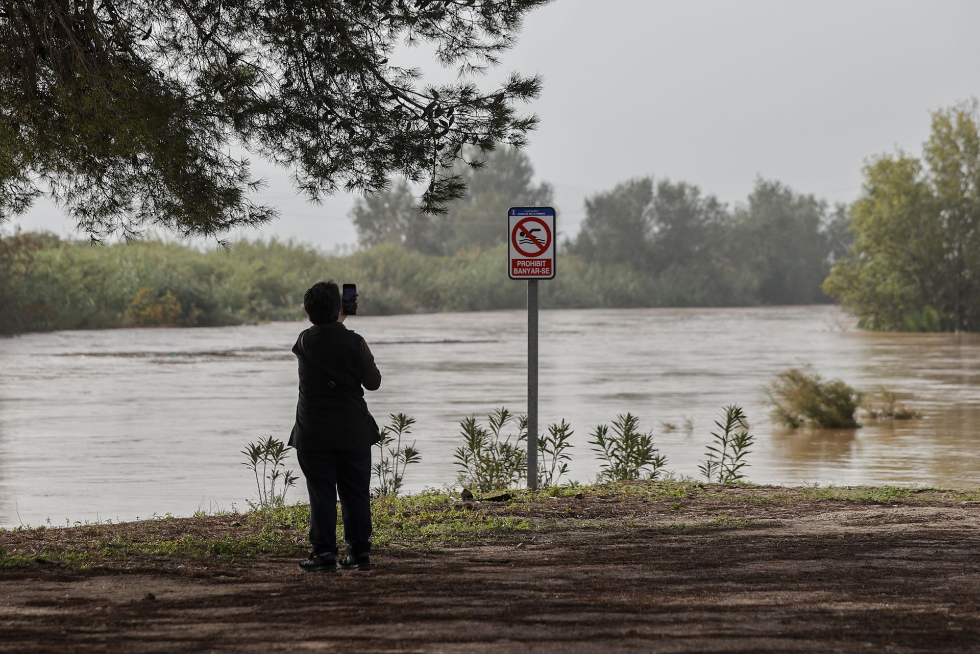 El río Júcar a su paso por Albalat de la Ribera.