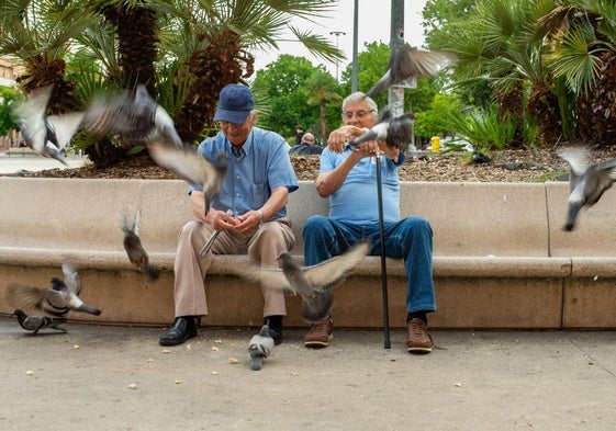 Un par de jubilados, dando de comer a unas palomas en un parque.