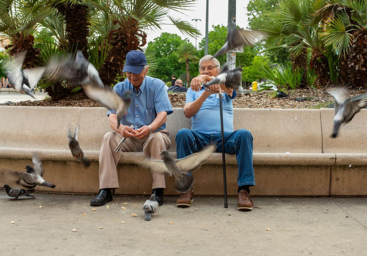 Un par de jubilados, dando de comer a unas palomas en un parque.