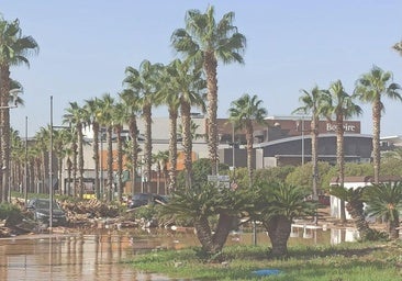 El juez envía a prisión a los primeros detenidos por saquear el centro comercial Bonaire