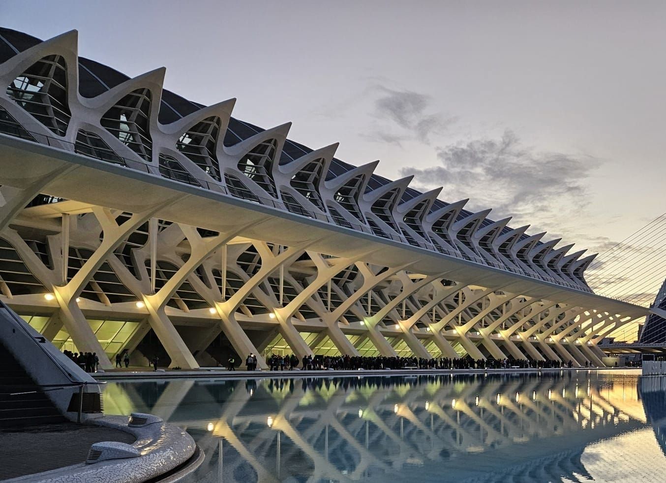 Fotos: miles de voluntarios acuden al Museo Príncipe Felipe de Valencia