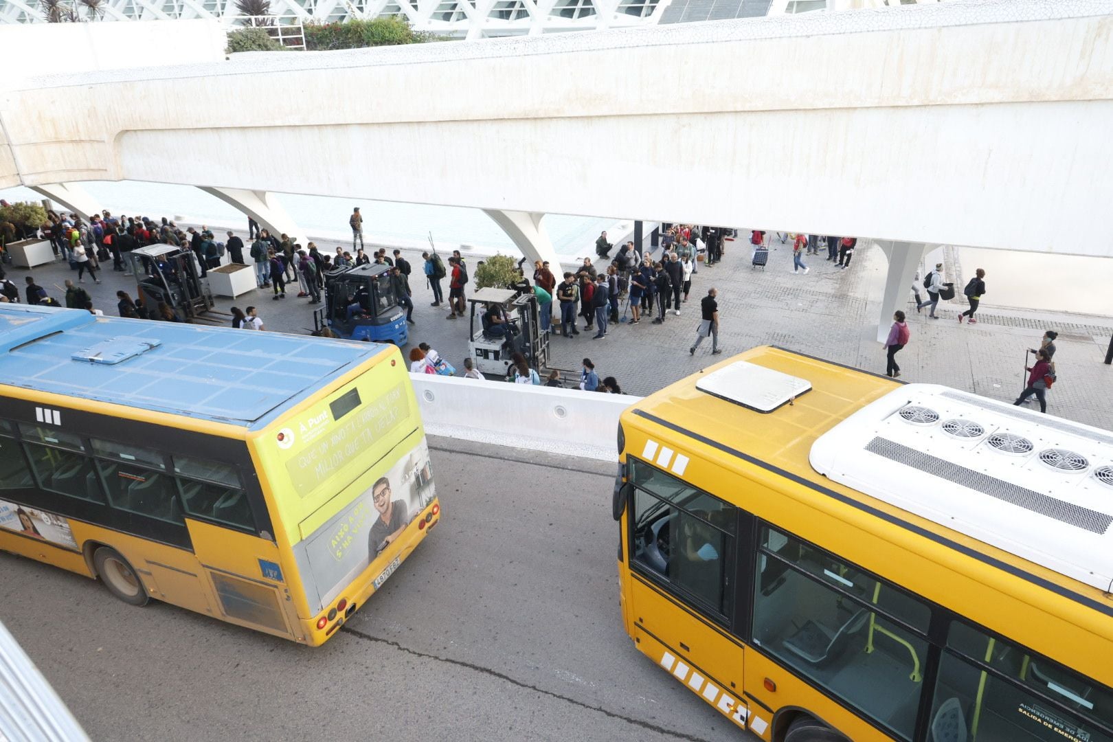 Fotos: miles de voluntarios acuden al Museo Príncipe Felipe de Valencia