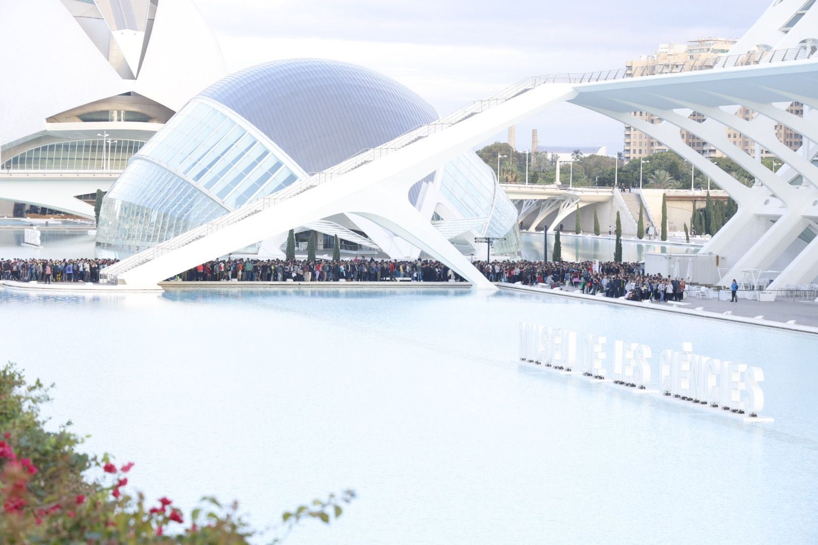 Fotos: miles de voluntarios acuden al Museo Príncipe Felipe de Valencia