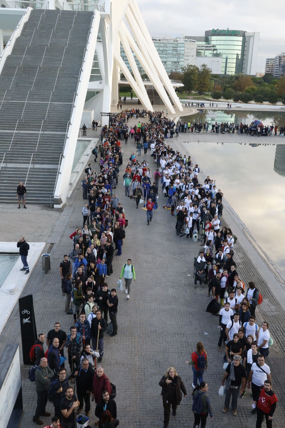 Fotos: miles de voluntarios acuden al Museo Príncipe Felipe de Valencia