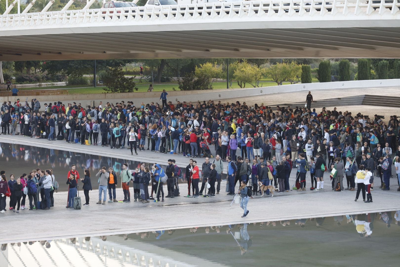 Fotos: miles de voluntarios acuden al Museo Príncipe Felipe de Valencia