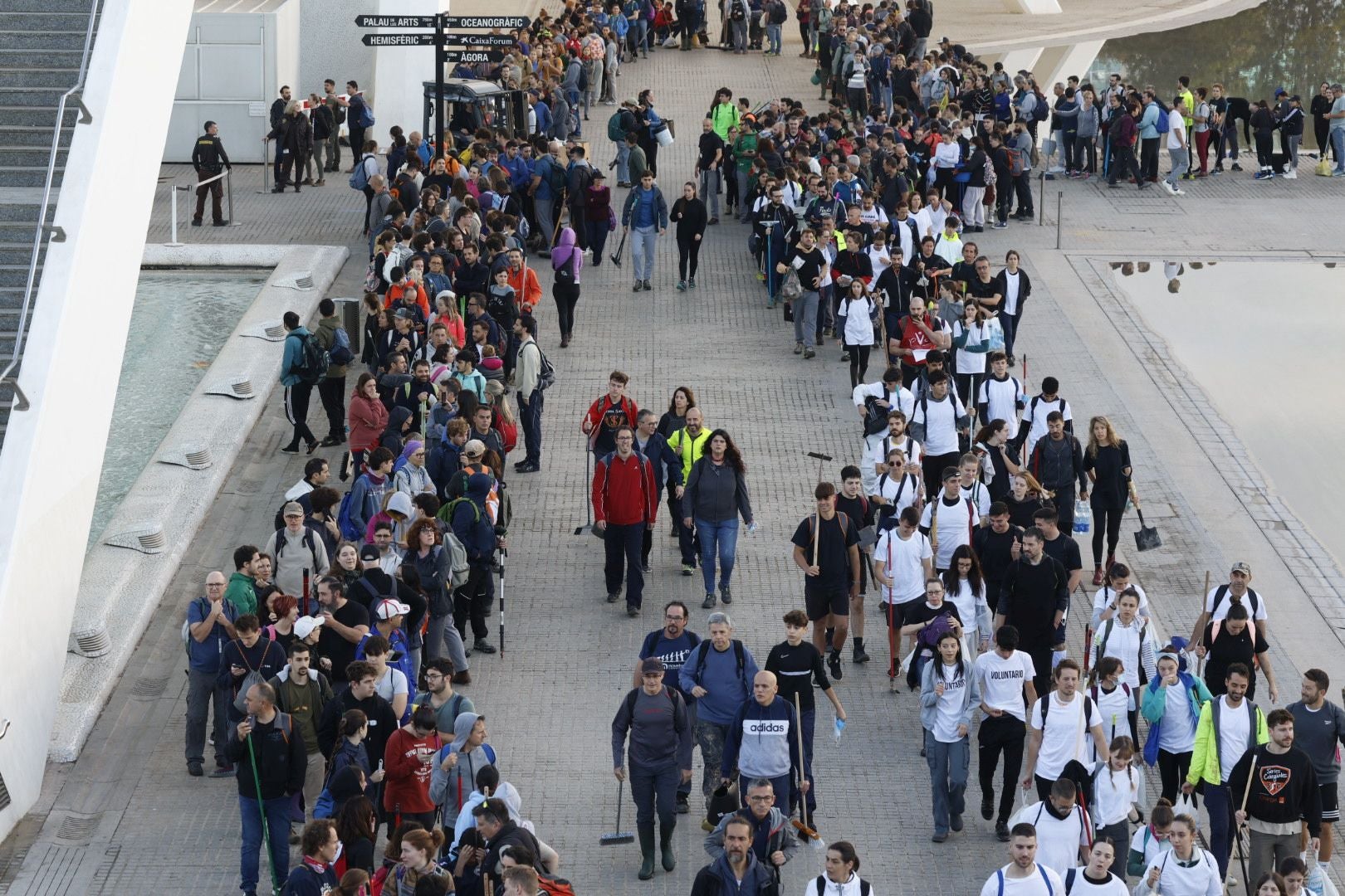 Fotos: miles de voluntarios acuden al Museo Príncipe Felipe de Valencia