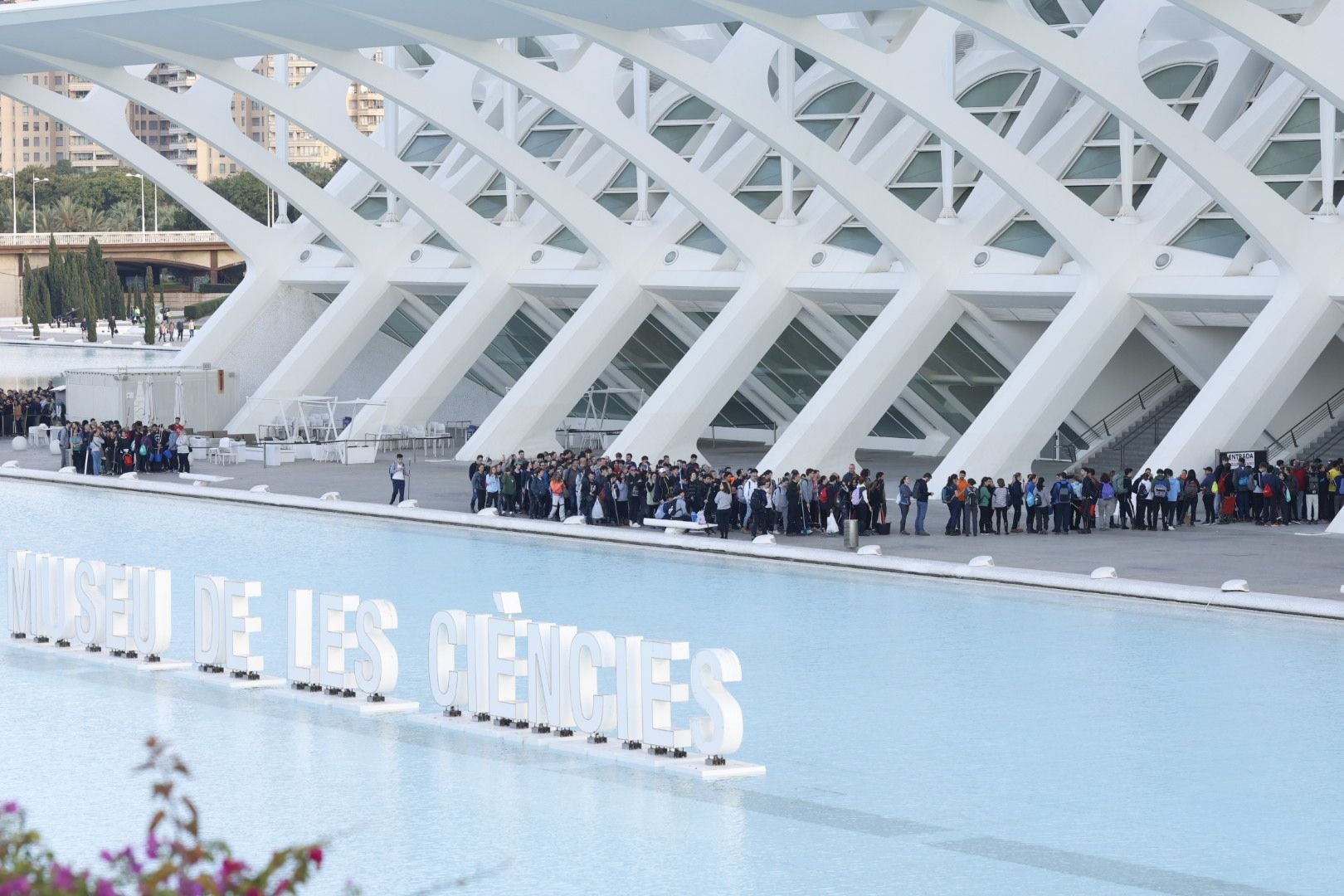 Fotos: miles de voluntarios acuden al Museo Príncipe Felipe de Valencia