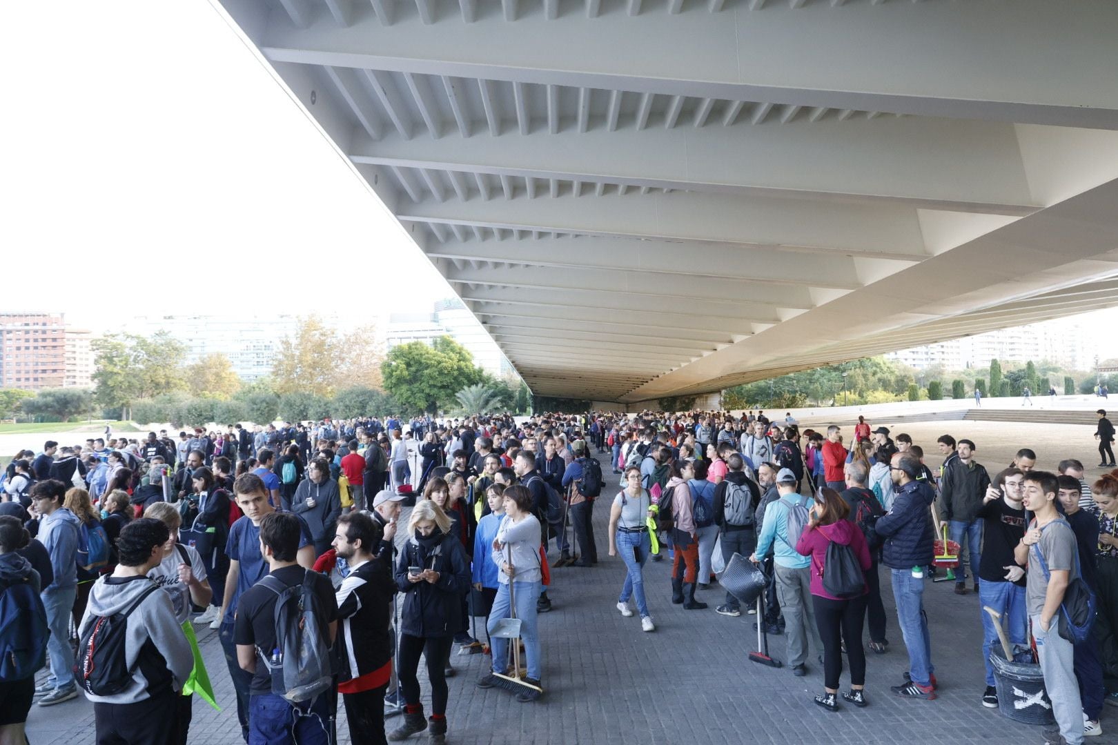 Fotos: miles de voluntarios acuden al Museo Príncipe Felipe de Valencia