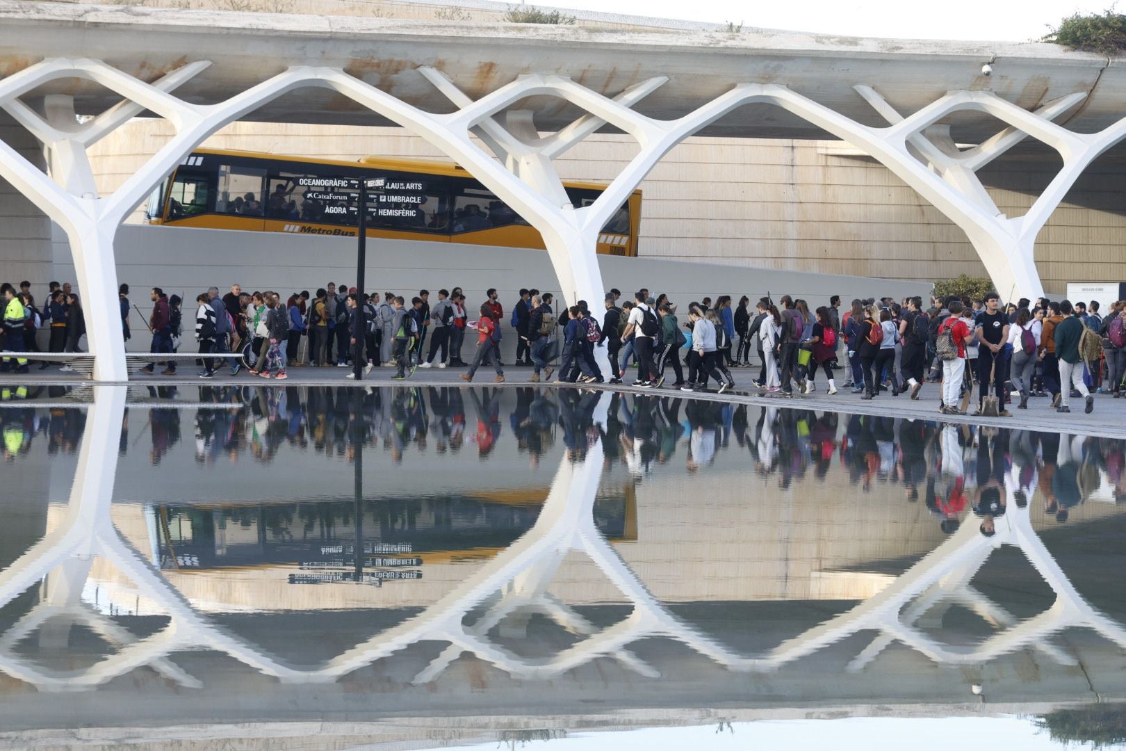 Fotos: miles de voluntarios acuden al Museo Príncipe Felipe de Valencia