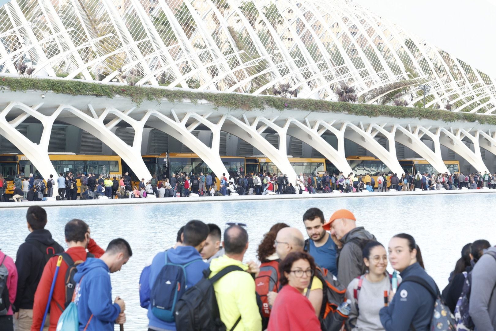 Fotos: miles de voluntarios acuden al Museo Príncipe Felipe de Valencia