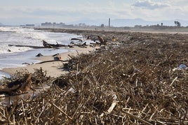 Todo tipo de vegetación y objetos arrastrados por el torrente incontrolado se acumulan en la playa de Pinedo.